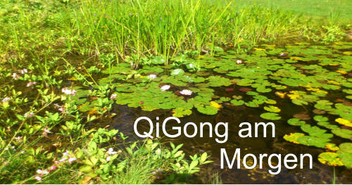 QiGong am             Morgen